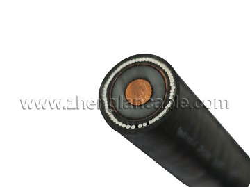 SWA Armored CTS Screened MV Cable